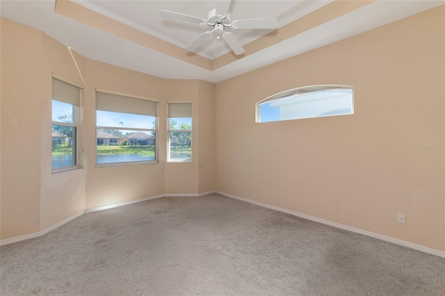 unfurnished room featuring a tray ceiling, carpet flooring, and a healthy amount of sunlight