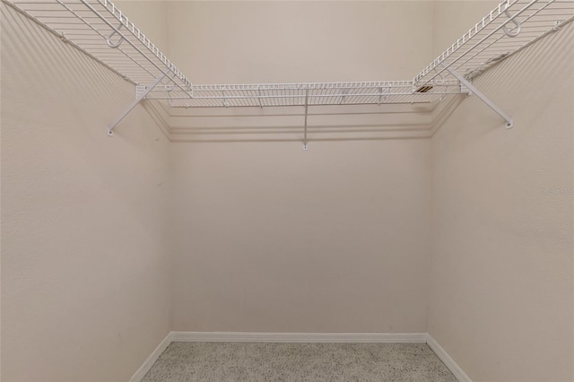 spacious closet featuring carpet