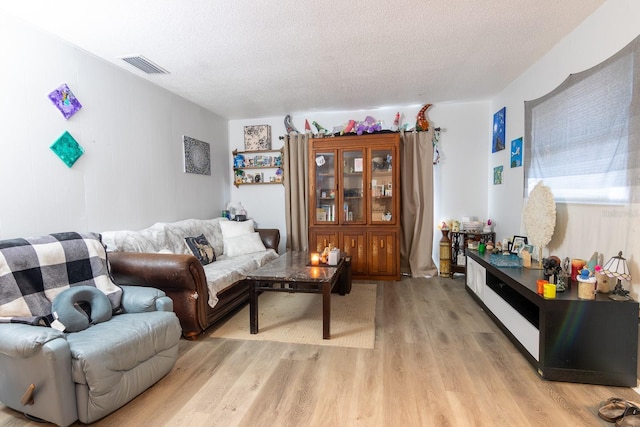 living room with a textured ceiling and light hardwood / wood-style flooring