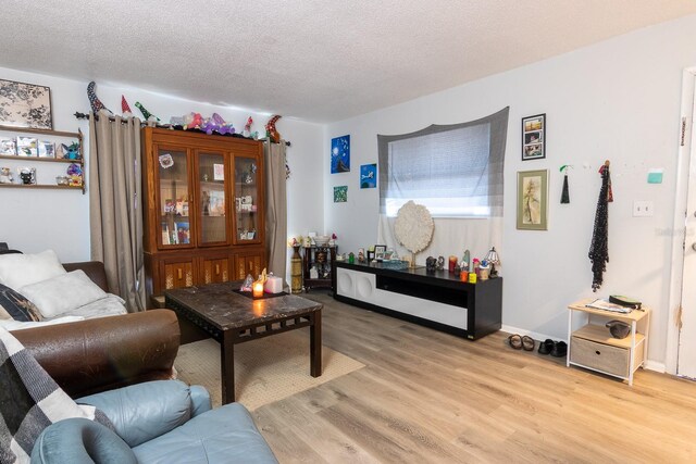 1038 25th St, Sarasota, FL 34234 - living room with light wood-style floors and a textured ceiling