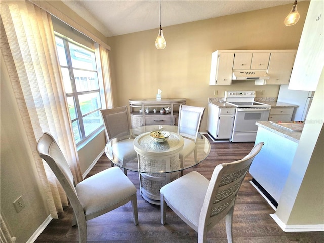 dining space with dark wood-type flooring