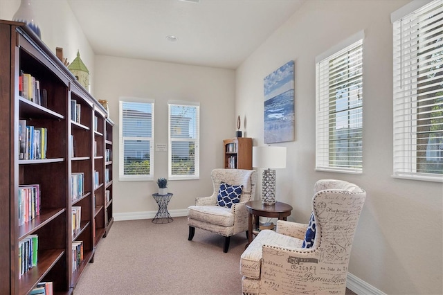 living area with carpet and plenty of natural light