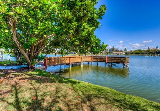 dock area featuring a water view