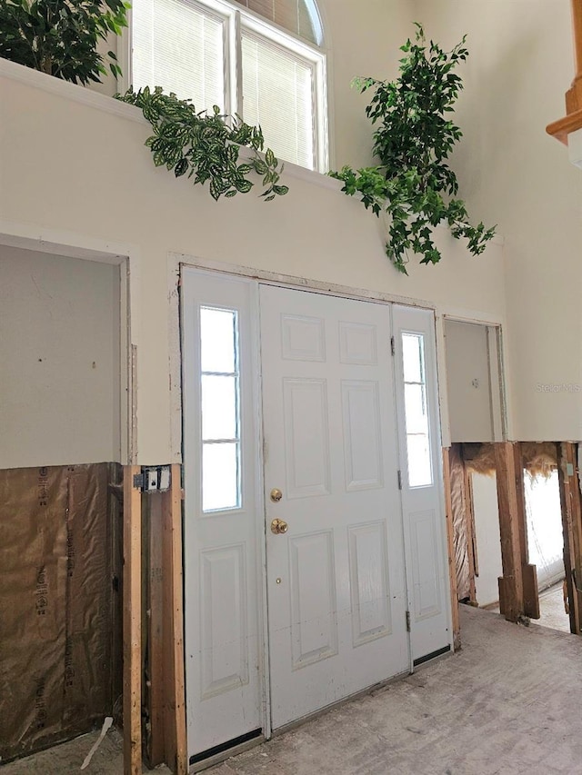 foyer entrance with a wealth of natural light