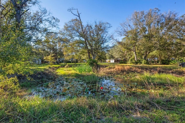 view of yard with a water view