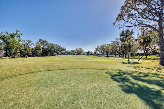 view of property's community featuring a lawn