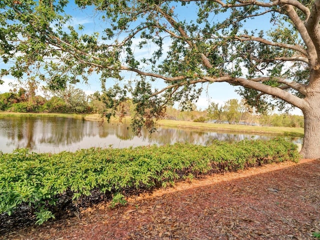 property view of water