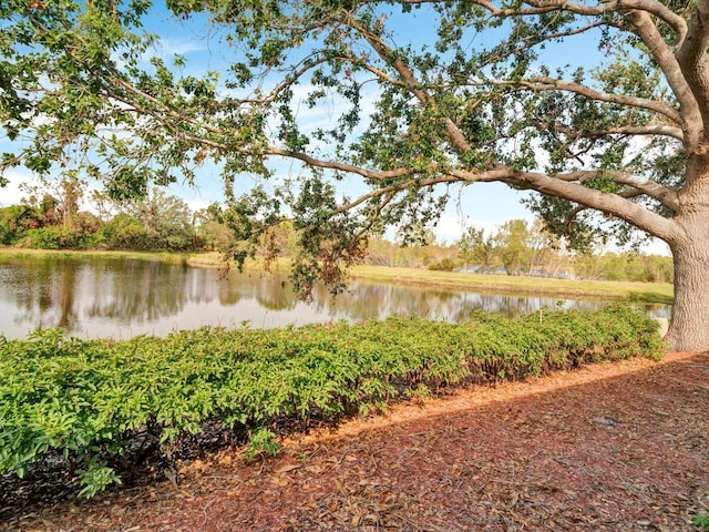 4181 Lenox Blvd, Venice, FL 34293 - water view