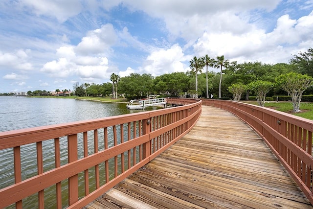 dock area with a water view