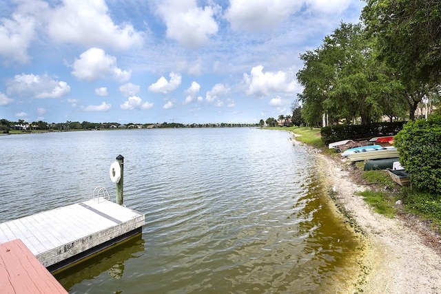 dock area with a water view