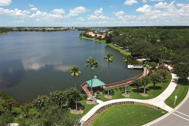 aerial view with a water view