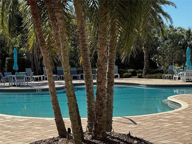 view of pool with a patio