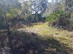 27401 Neaptide Dr, Punta Gorda, FL 33983 - photo 15
