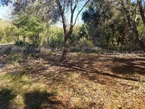 27401 Neaptide Dr, Punta Gorda, FL 33983 - photo 16