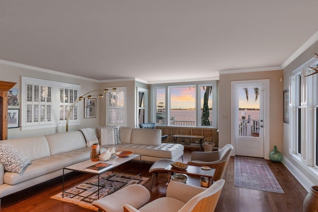 living room with dark hardwood / wood-style floors and crown molding