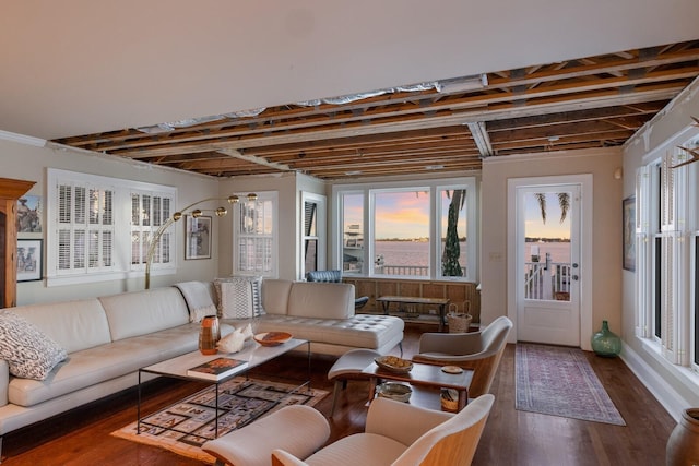 living room with dark hardwood / wood-style flooring