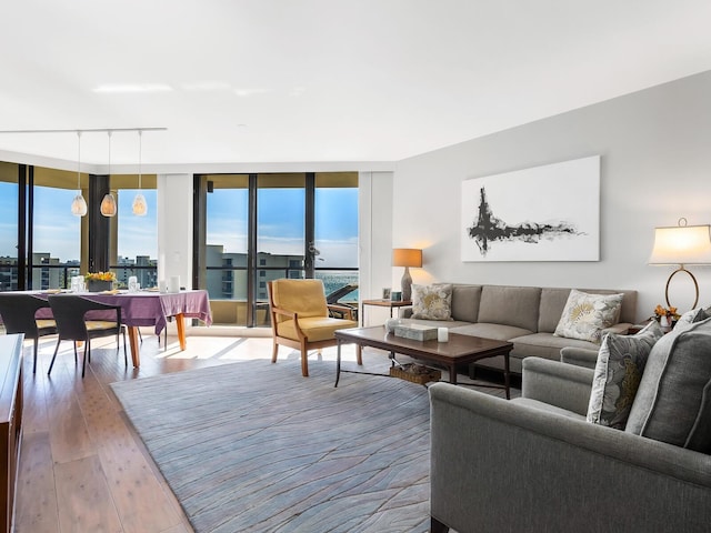 living room with expansive windows, wood-type flooring, and rail lighting