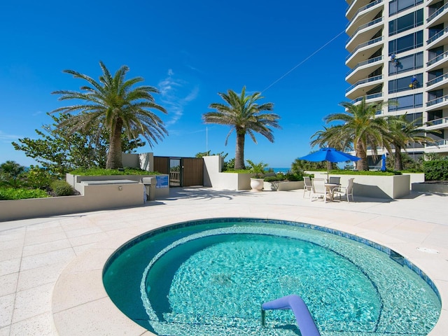 view of pool with a patio