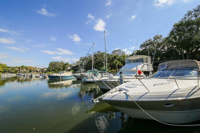 dock area with a water view