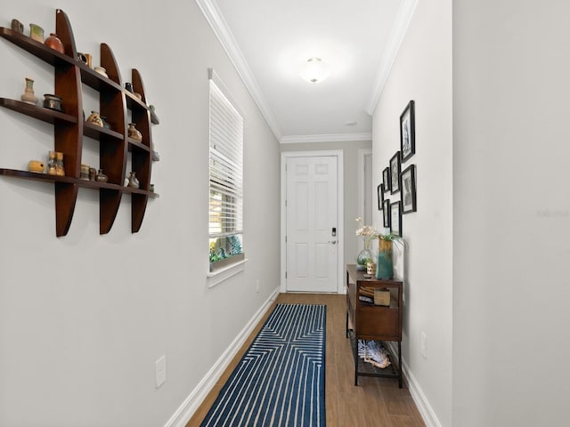 doorway with wood-type flooring and ornamental molding