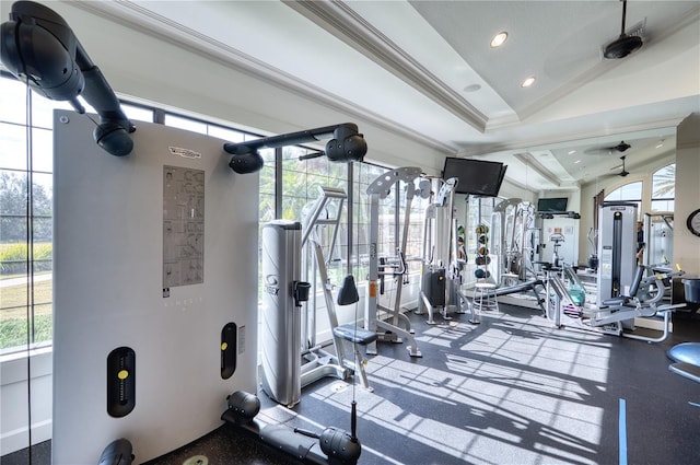 workout area with plenty of natural light, lofted ceiling, and ornamental molding