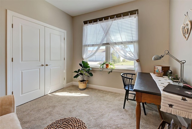 office space with carpet floors