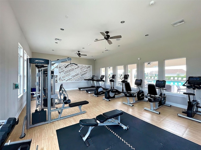 gym featuring ceiling fan, plenty of natural light, and hardwood / wood-style flooring