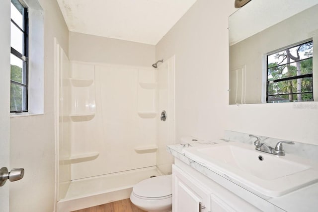 bathroom featuring a shower, hardwood / wood-style floors, vanity, and toilet