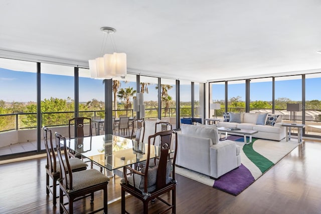 dining area with dark hardwood / wood-style flooring, expansive windows, and a healthy amount of sunlight