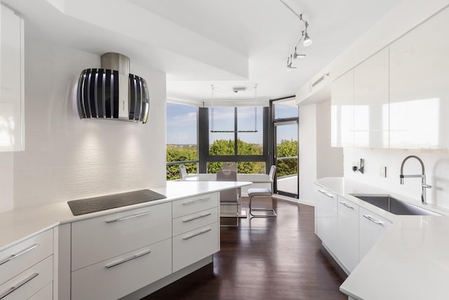 kitchen with white cabinets, pendant lighting, dark hardwood / wood-style flooring, and sink