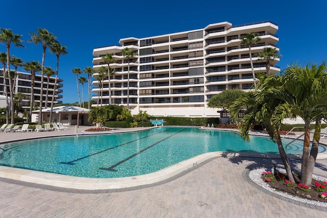 view of pool featuring a patio