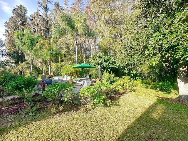 view of yard featuring a patio area