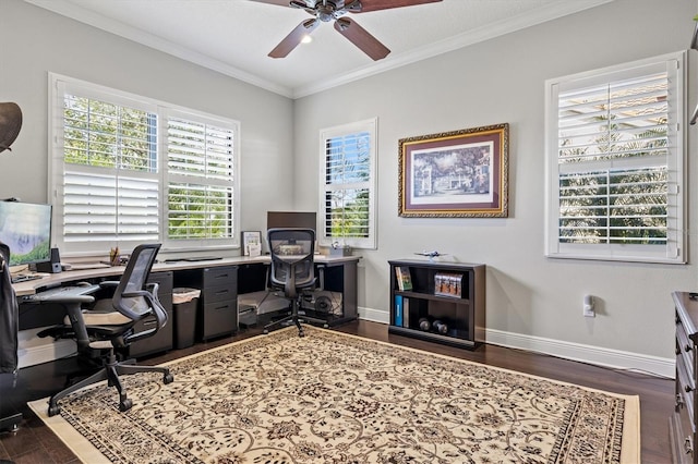 home office with crown molding, dark hardwood / wood-style floors, and ceiling fan