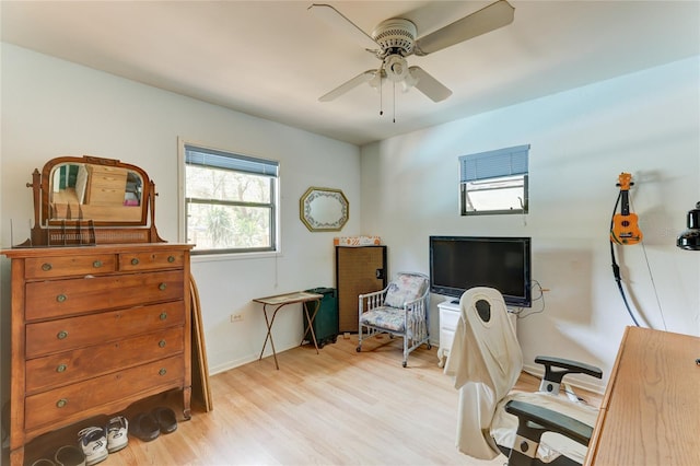 office space with light hardwood / wood-style floors and ceiling fan