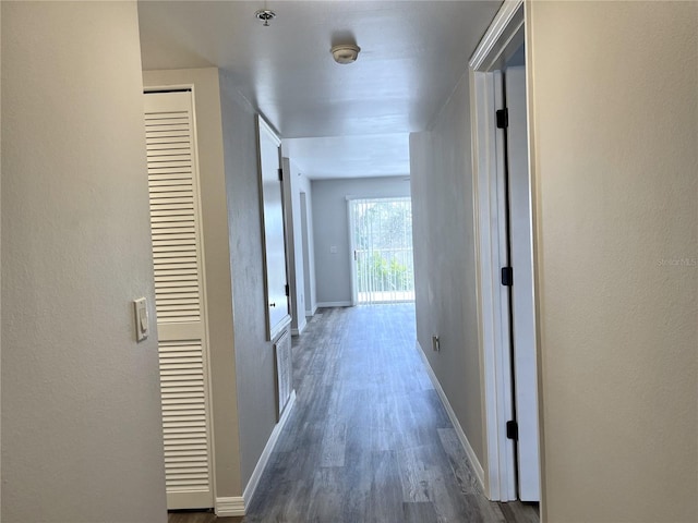 hallway with dark hardwood / wood-style flooring