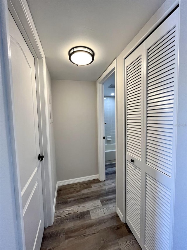 hallway featuring dark wood-type flooring