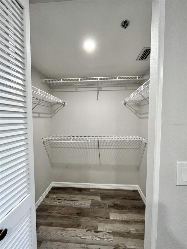 spacious closet featuring dark wood-type flooring