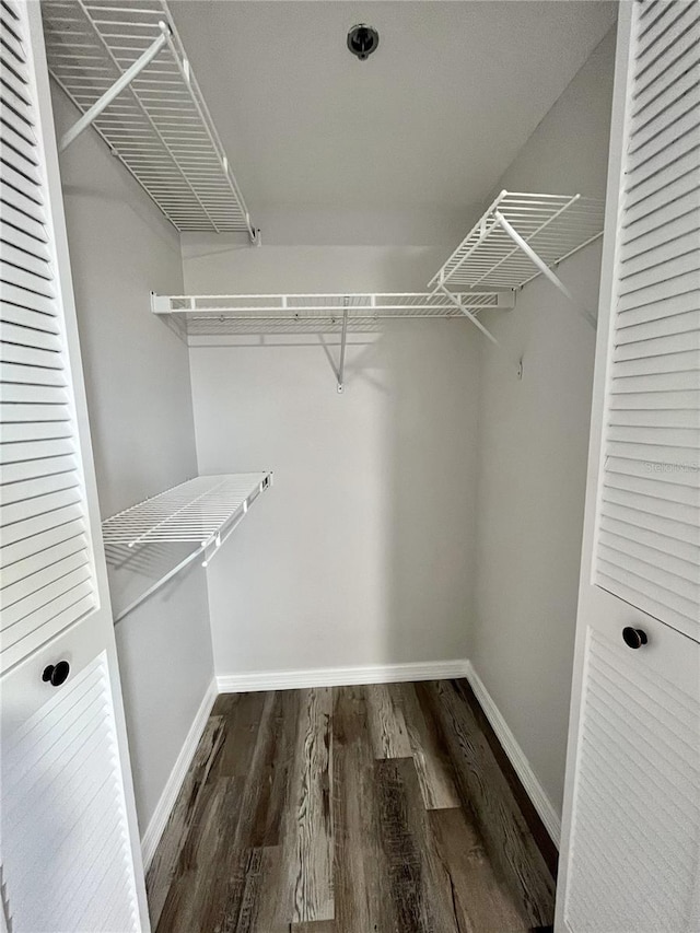 spacious closet featuring dark wood-type flooring