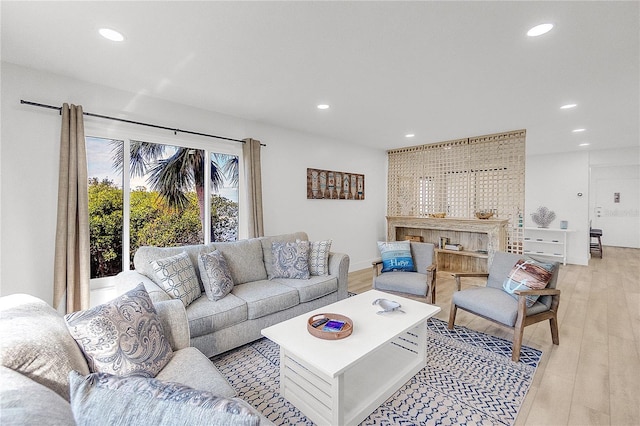 living room featuring light hardwood / wood-style flooring