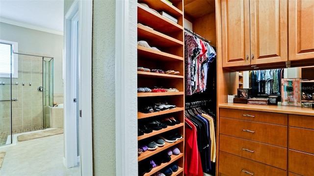 view of spacious closet