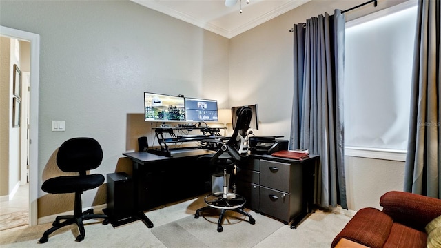 office space with crown molding and light carpet