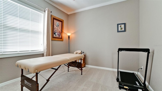 carpeted office with crown molding