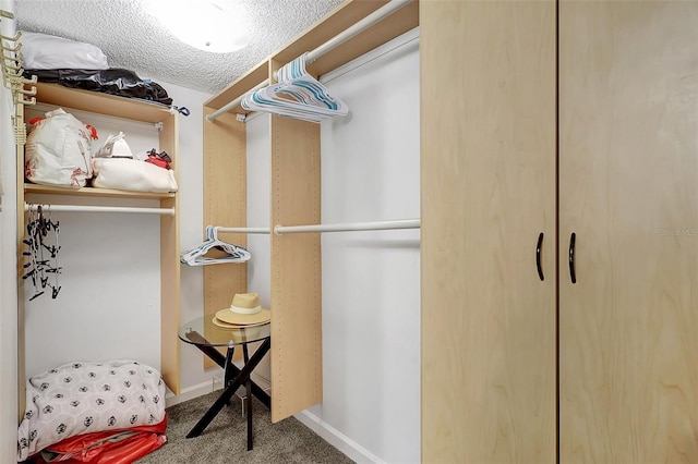 1200 E Peppertree Ln Unit 607, Sarasota, FL 34242 - spacious closet with carpet