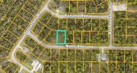 Listing photo 2 for Neon Ave, North Port FL 34291