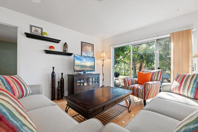 living room with light hardwood / wood-style floors and a textured ceiling