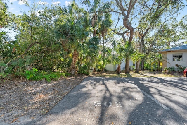608 N Jefferson Ave Unit 30, Sarasota, FL 34237 - photo 26