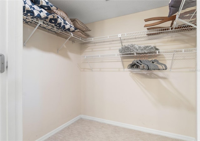 spacious closet with carpet floors