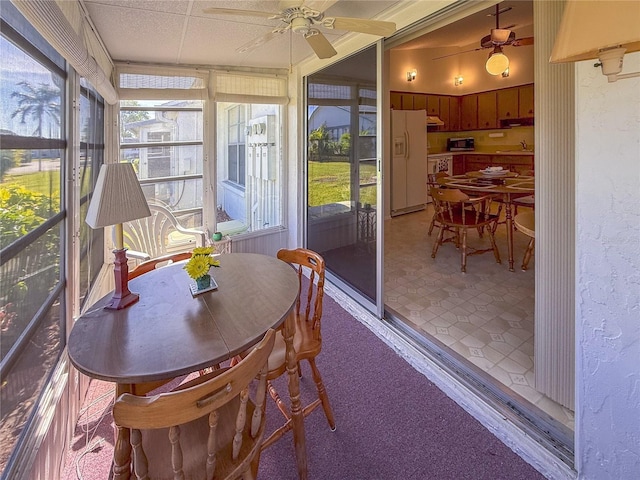 sunroom featuring a paneled ceiling, ceiling fan, and sink