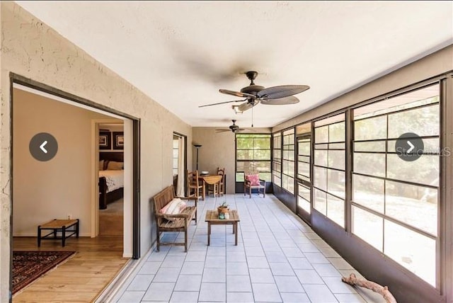 sunroom / solarium featuring ceiling fan and a healthy amount of sunlight