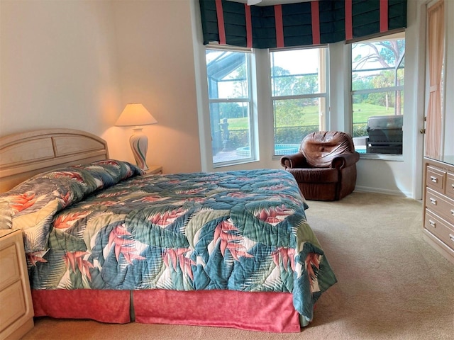 bedroom with carpet